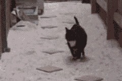 开云体育官网登入-俱乐部投资加速电竞人才培养，电竞俱乐部加入标准