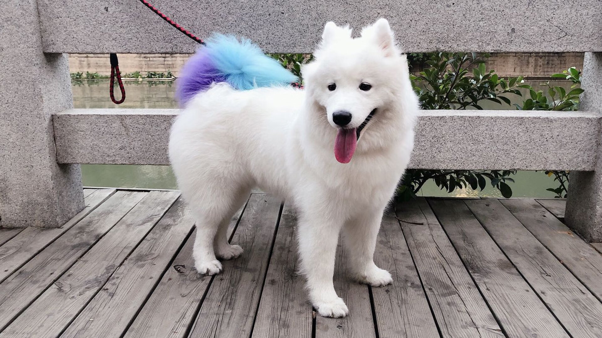 “足球+VR”虚拟训练场在青训行业中实现广泛应用,足球虚拟队是什么意思