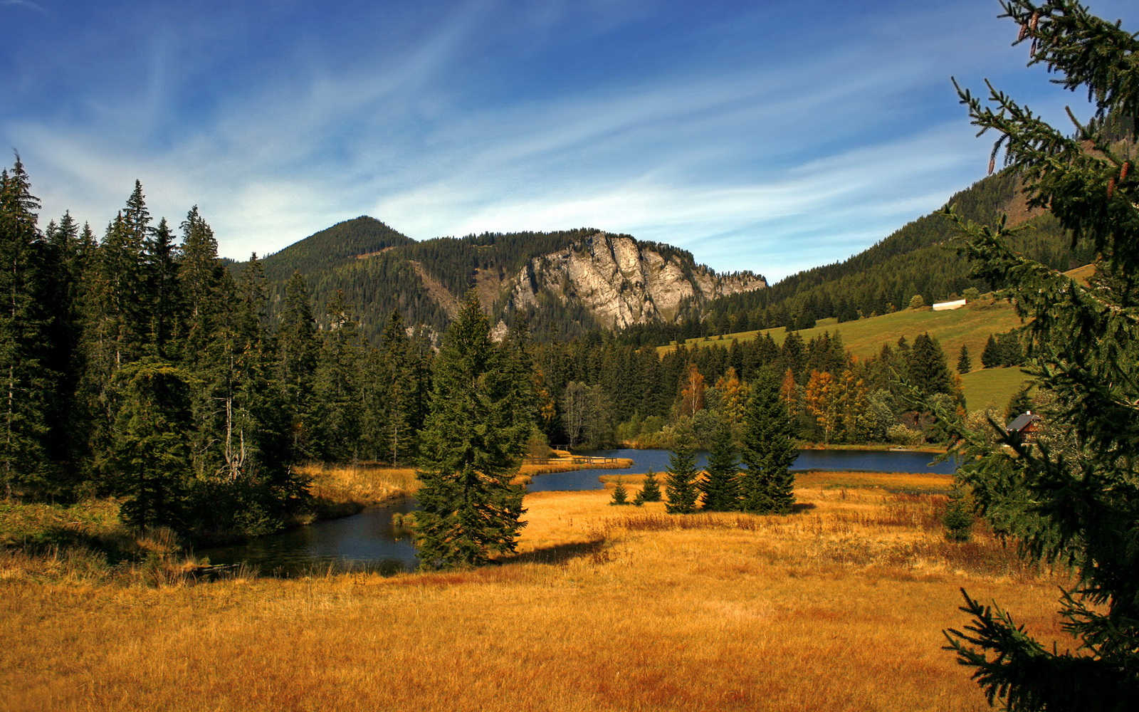 “足球+VR”虚拟训练场在青训行业中实现广泛应用,足球虚拟队是什么意思