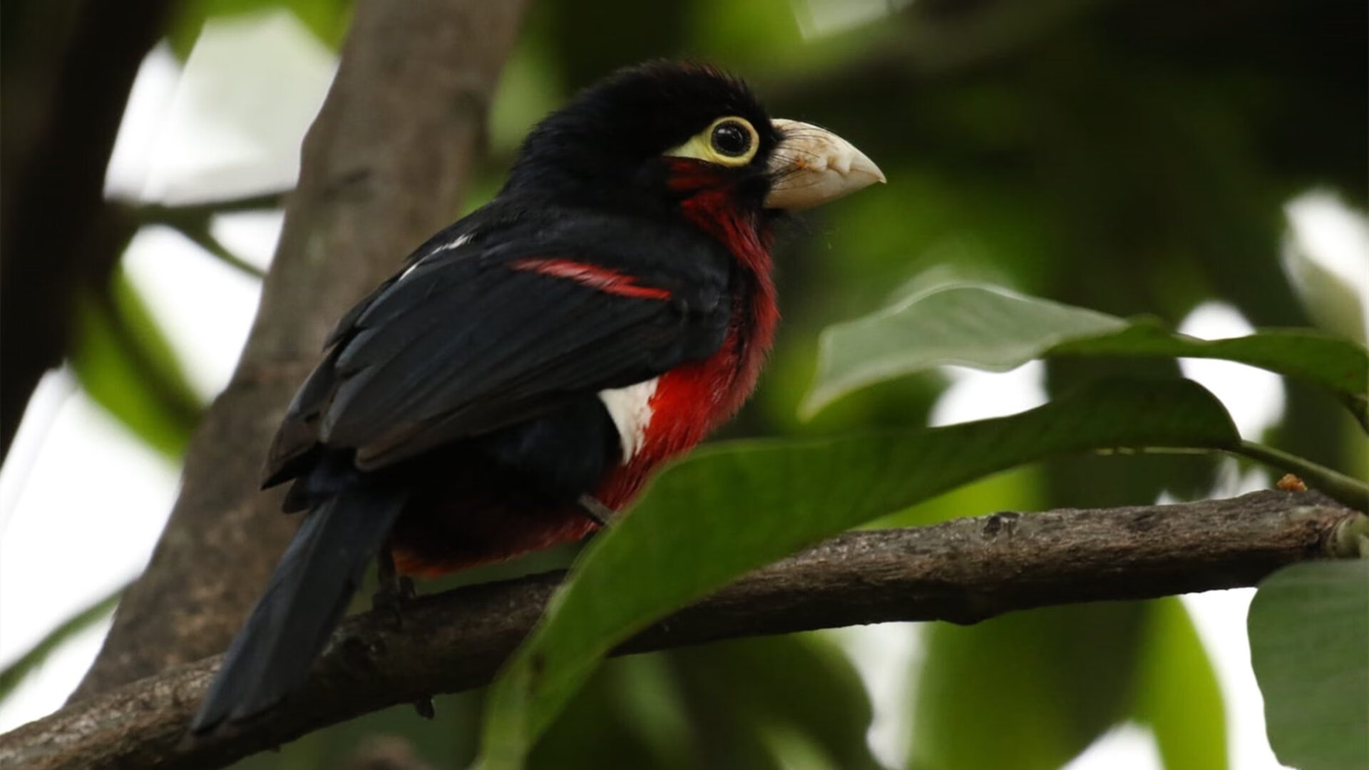 “西甲明星发挥稳定,球队稳扎稳打”,西甲 球星