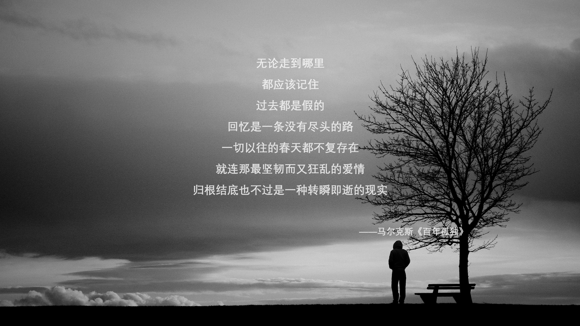 史上最“恐怖”的防守者之一:斯托亚科维奇连续两场抢断数超过5次!